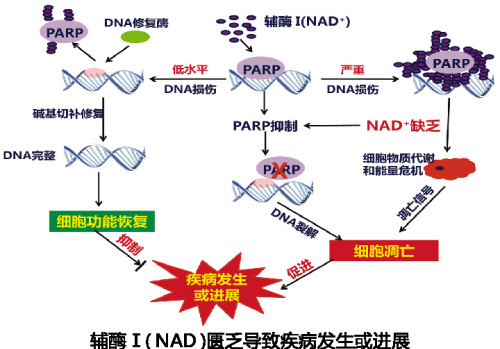 ca88_ca888亚洲城登录入口