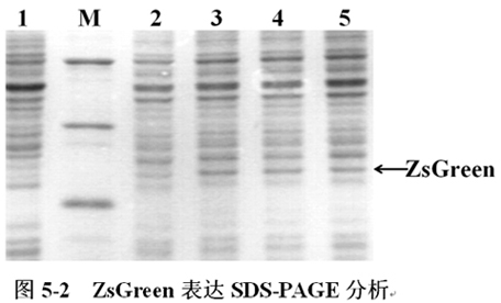 ca88_ca888亚洲城登录入口
