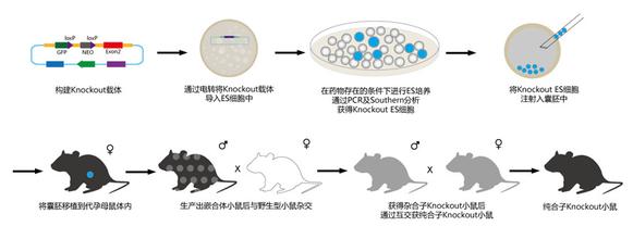 ca88_ca888亚洲城登录入口