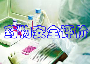 药物清静评价 药物清静评价