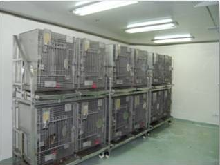 CA88猴房 CA88猴房