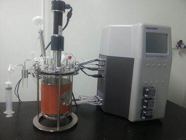 抗体卵白表达纯化仪器 抗体卵白表达纯化仪器