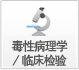 毒性病理学/临床磨练 毒性病理学/临床磨练
