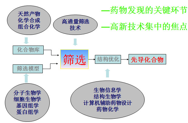 药物筛选模子流程图 药物筛选模子流程图