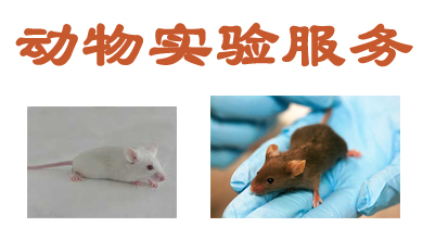 动物实验效劳 动物实验效劳