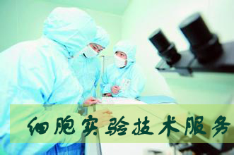 ca88_ca888亚洲城登录入口