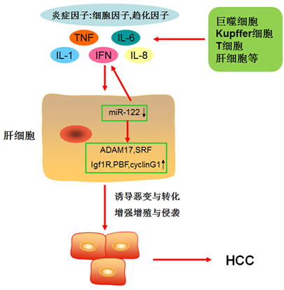 ca88_ca888亚洲城登录入口