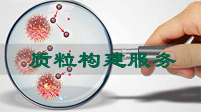 质粒构建效劳 质粒构建效劳