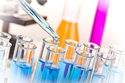 CA88生物实验 CA88生物实验