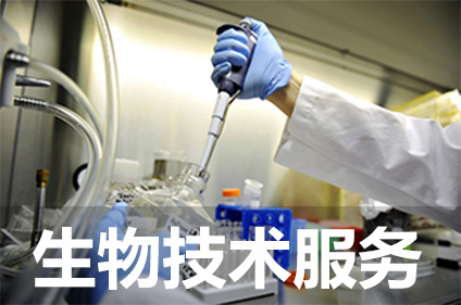 生物手艺效劳 生物手艺效劳