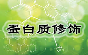 ca88_ca888亚洲城登录入口
