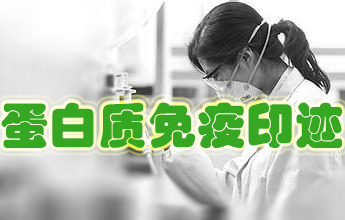 卵白免疫印迹