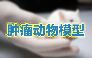 肿瘤动物模子 肿瘤动物模子