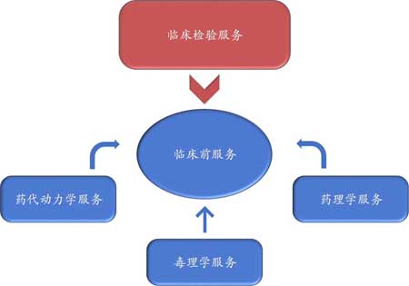 CA88临床前效劳 CA88临床前效劳