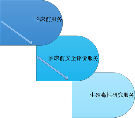 CA88临床前效劳中的生殖毒性效劳 CA88临床前效劳中的生殖毒性效劳