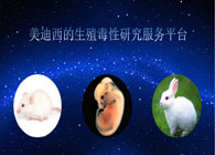 CA88的生殖毒性研究效劳平台