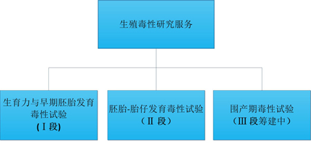 CA88的生殖毒性效劳 CA88的生殖毒性效劳