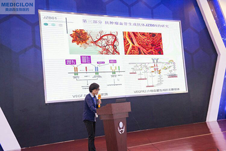 中国药科大学张娟副教授作抗肿瘤血管天生抗体JZB01研究报告 中国药科大学张娟副教授作抗肿瘤血管天生抗体JZB01研究报告