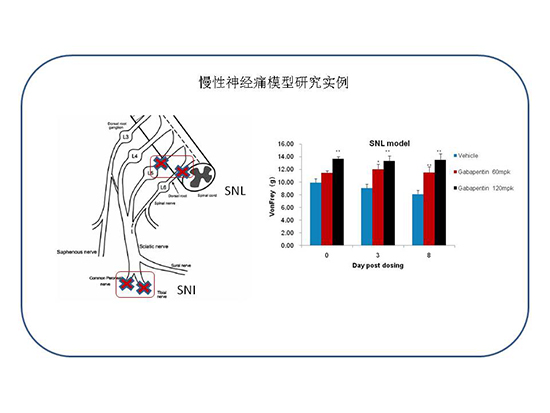 ca88_ca888亚洲城登录入口