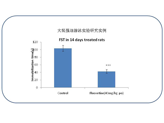 ca88_ca888亚洲城登录入口