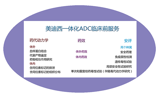 CA88一体化ADC临床前效劳 CA88一体化ADC临床前效劳