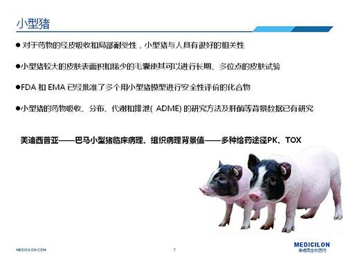 皮肤涂抹试验中，，，，，受试动物选择小型猪更好