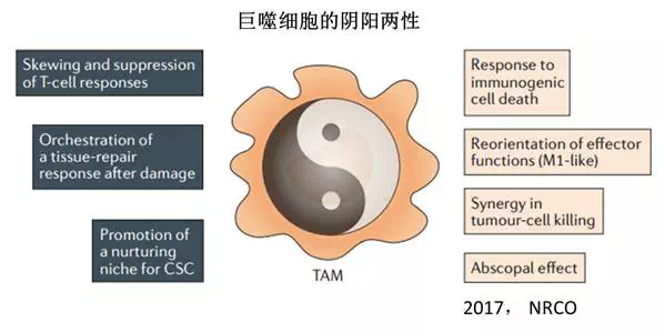 ca88_ca888亚洲城登录入口