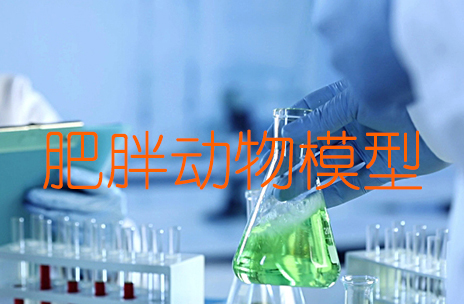 肥胖动物模子 肥胖动物模子