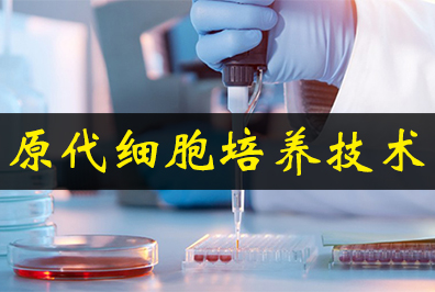 原代细胞作育手艺 原代细胞作育手艺