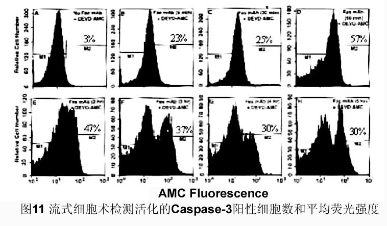 ca88_ca888亚洲城登录入口