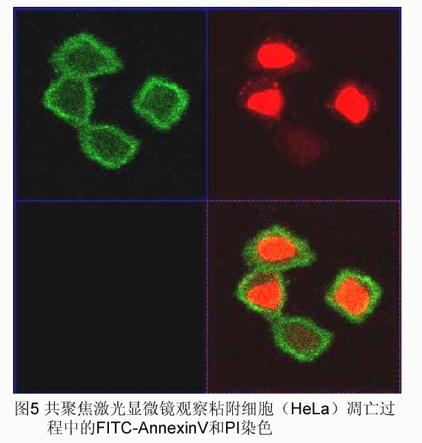 ca88_ca888亚洲城登录入口