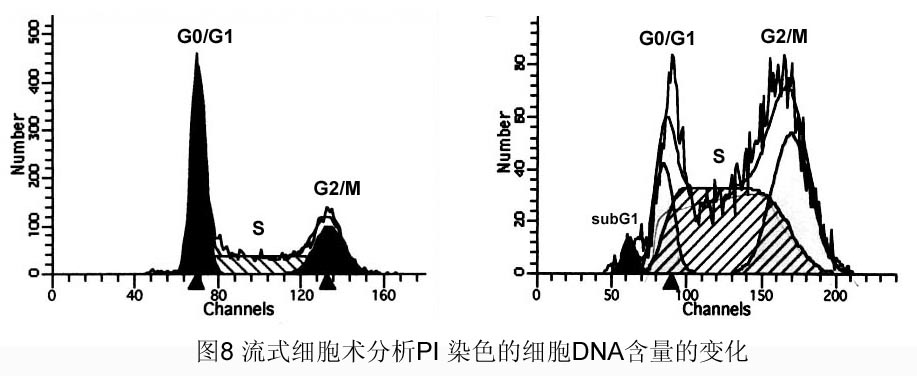 ca88_ca888亚洲城登录入口