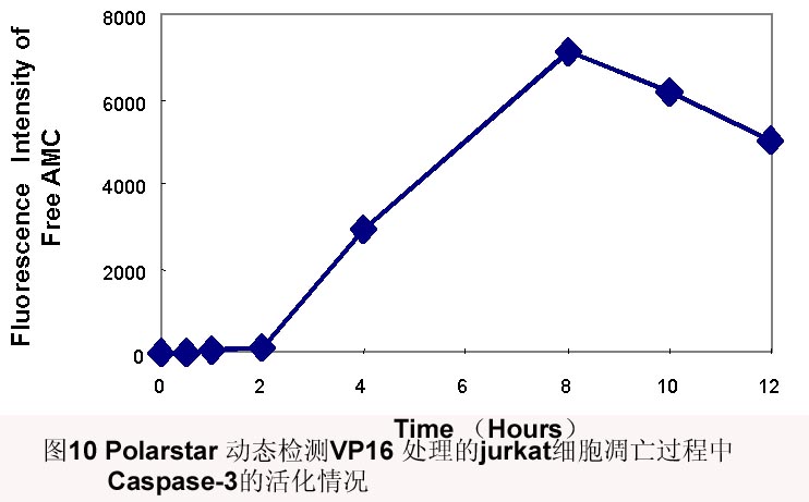 ca88_ca888亚洲城登录入口