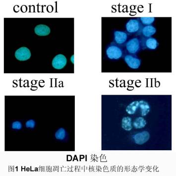 ca88_ca888亚洲城登录入口