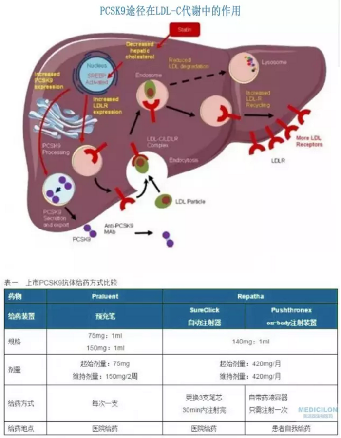 ca88_ca888亚洲城登录入口