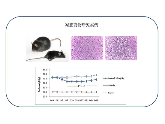 ca88_ca888亚洲城登录入口