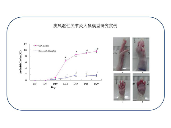 ca88_ca888亚洲城登录入口