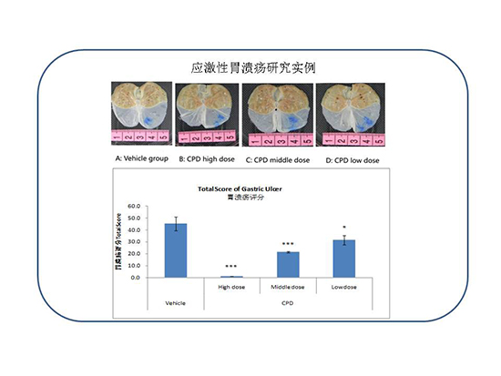 ca88_ca888亚洲城登录入口