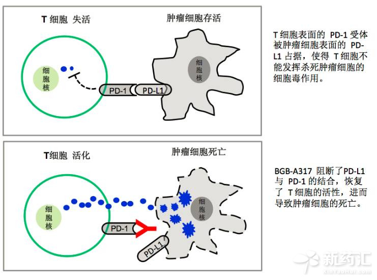 ca88_ca888亚洲城登录入口