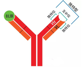 ca88_ca888亚洲城登录入口