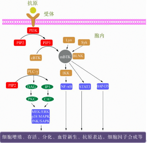 ca88_ca888亚洲城登录入口