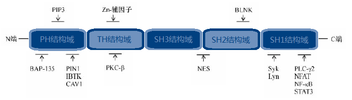 ca88_ca888亚洲城登录入口