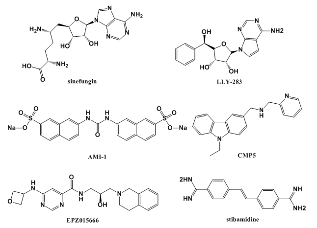 ca88_ca888亚洲城登录入口