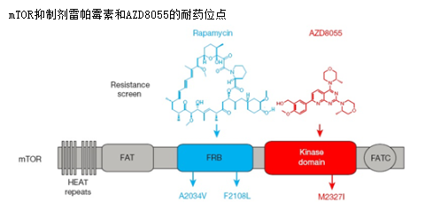 ca88_ca888亚洲城登录入口