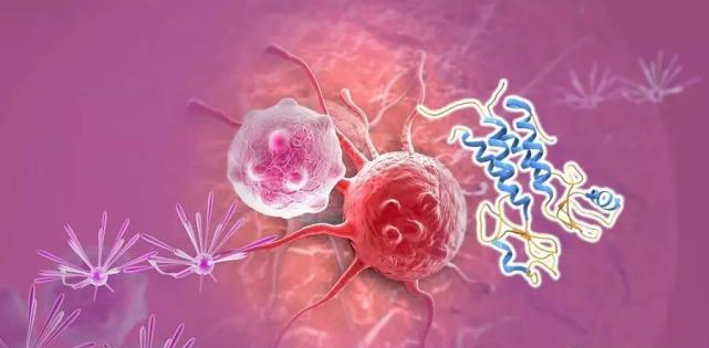 【盘货】高选择性mTOR抑制剂的研究历程_CA88生物医药