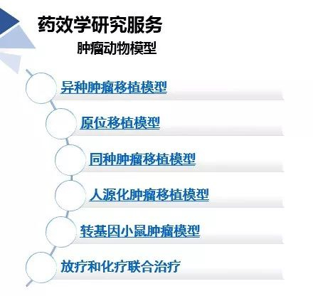 CA88药效学动物模子