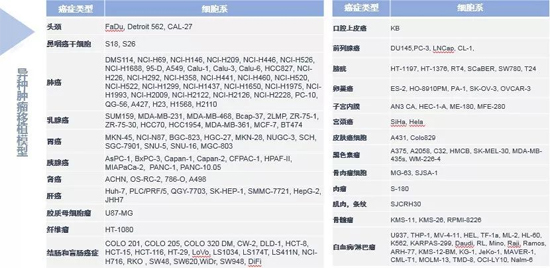 CA88药效学动物模子