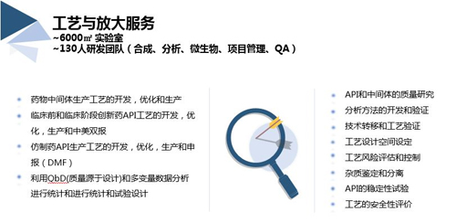 CA88工艺与放大效劳