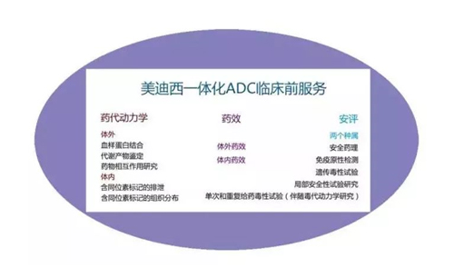 CA88一体化ADC临床前效劳
