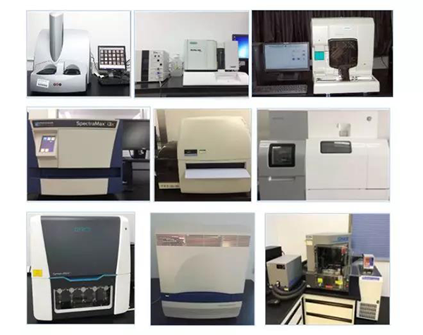 CA88生物手艺药物剖析部分拥有SpectraMaxM4/M5/i3x, MSD, Luminex, Biacore 8K, Envision, Gyrolab，，，，ABI7500 qPCR等全方位多功效的手艺平台，，，，使用LIMS系统实验周全的实验室信息化治理，，，，提供周全切合FDA/CFDA/OECD GLP规范要求的生物手艺药物剖析效劳。。。。。。。
